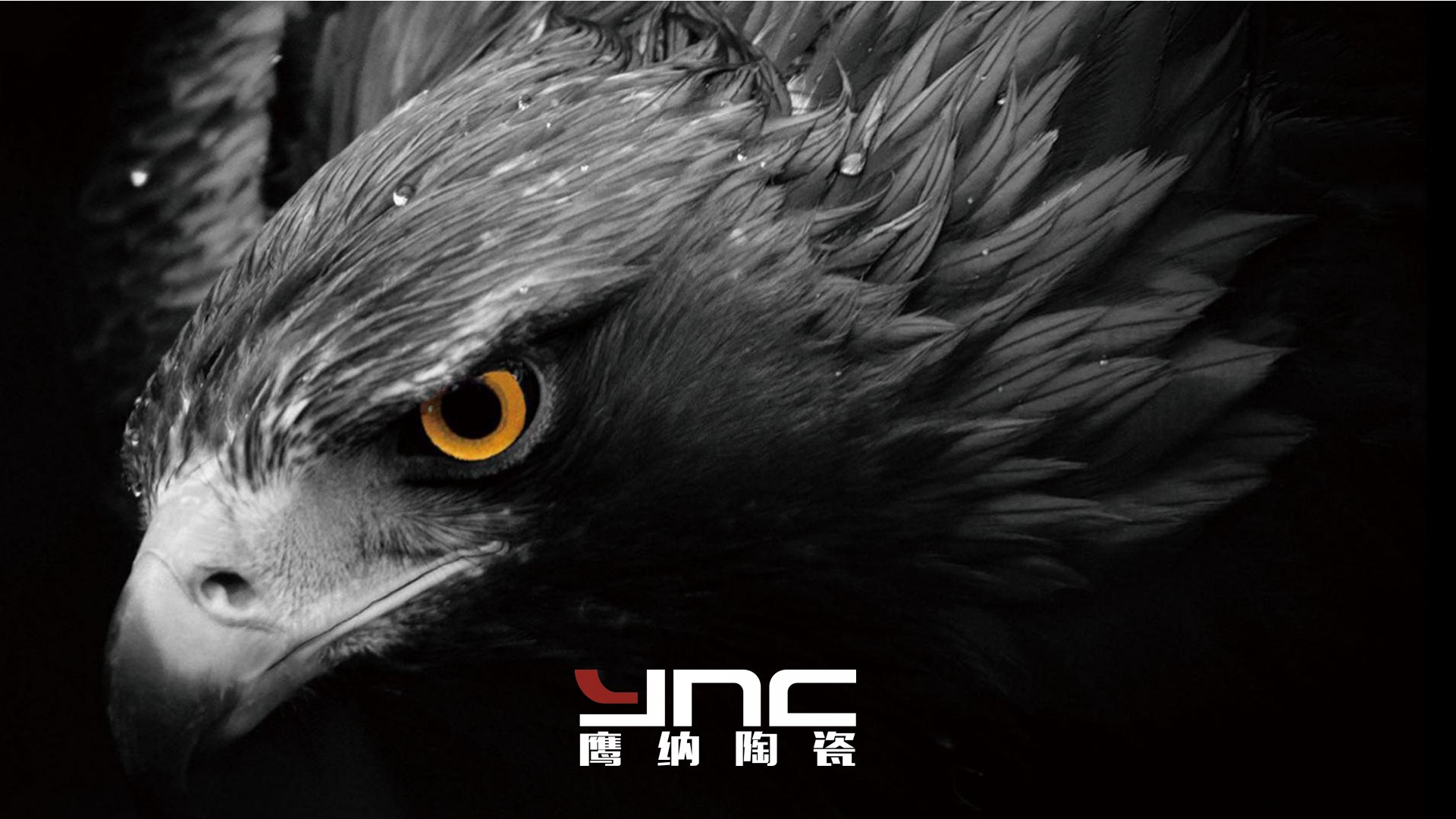 幻燈片1.jpg